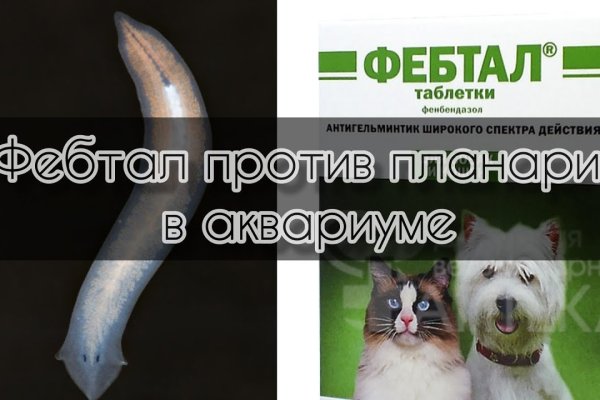 Kraken дарк магазин