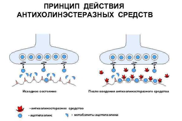 Kraken маркетплейс kr2web in